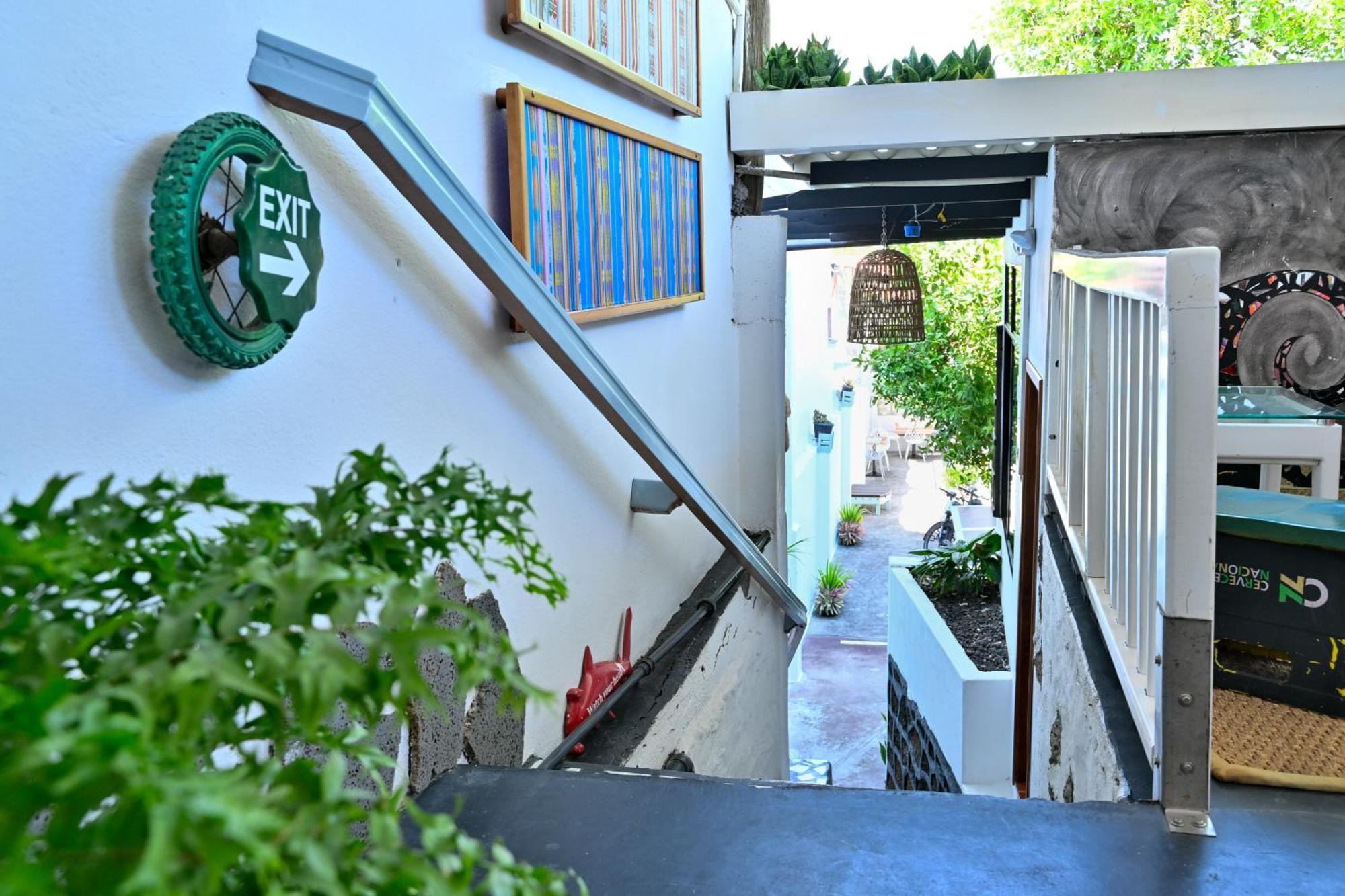La K-Leta Boutique Guesthouse Puerto Ayora  Dış mekan fotoğraf
