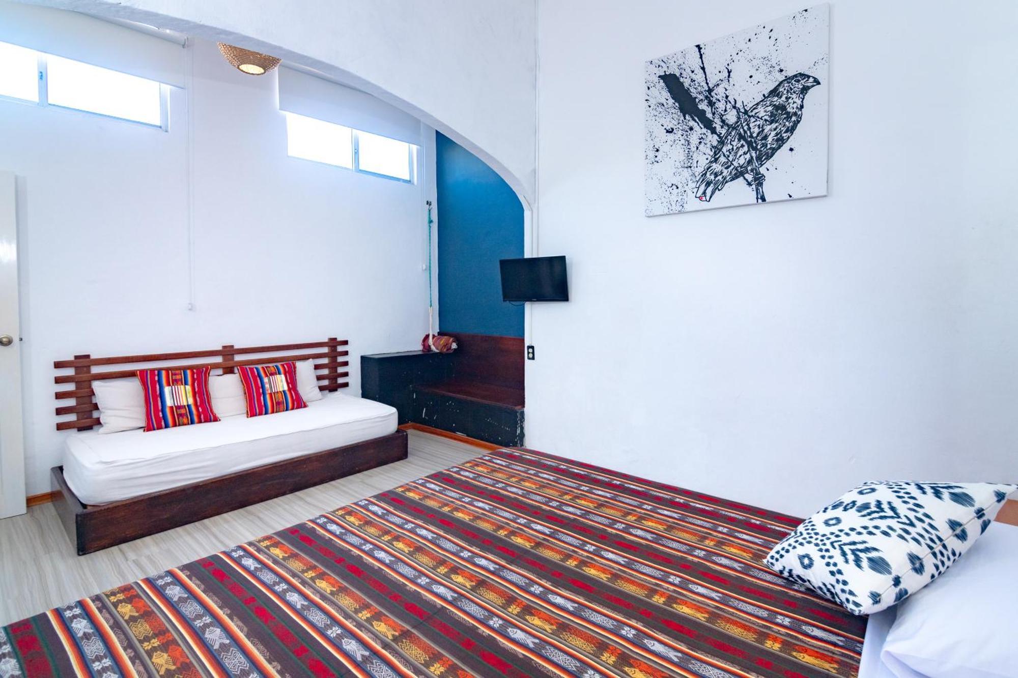 La K-Leta Boutique Guesthouse Puerto Ayora  Dış mekan fotoğraf